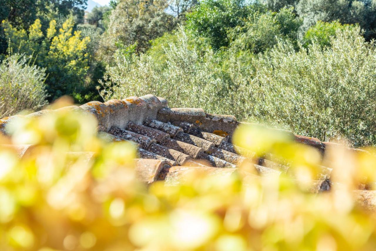 ホテル H14 Porto Frailis アルバタクス エクステリア 写真